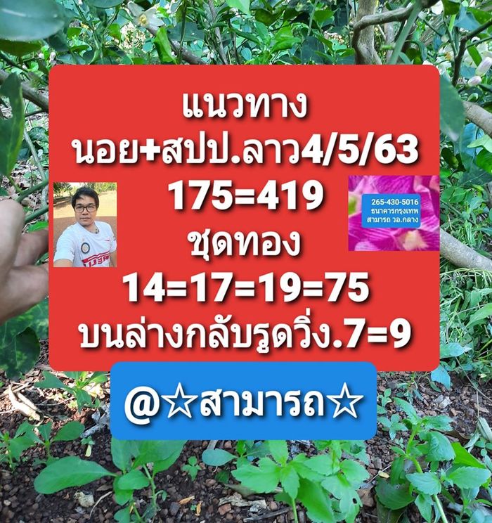 My Image 16