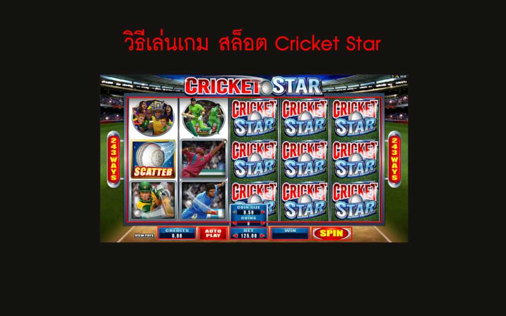 กฎกติกา วิธีเล่นสล็อต Cricket Star Slot