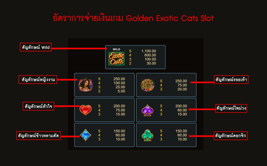 อัตราการจ่ายเงินของเกม Exotic Cats Slot