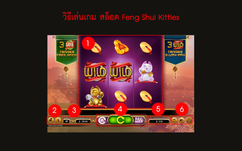 กฎกติกา วิธีเล่นสล็อต Feng Shui Kitties Slot
