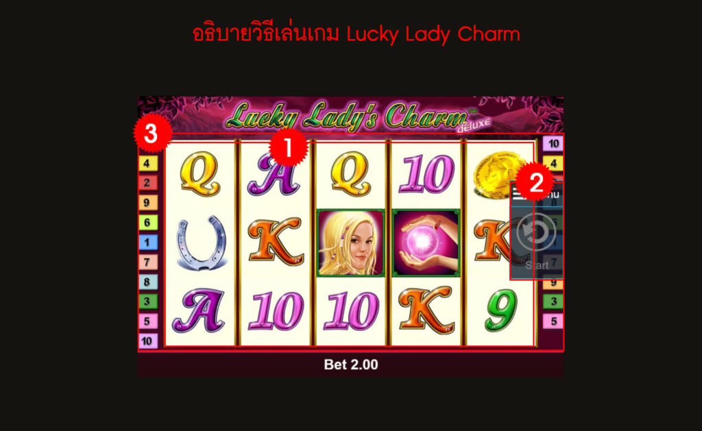กฎกติกา วิธีเล่นเกมสล็อต Lucky Ladys Charm
