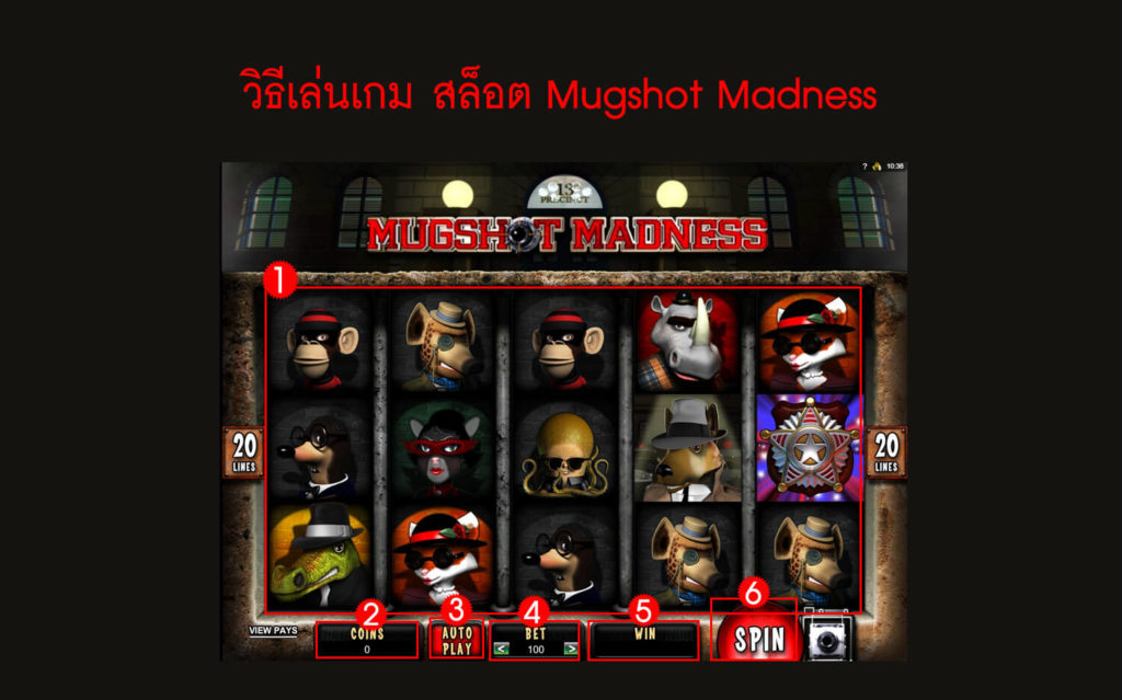 กฎกติกา วิธีเล่น สล็อต Mugshot Madness Slot