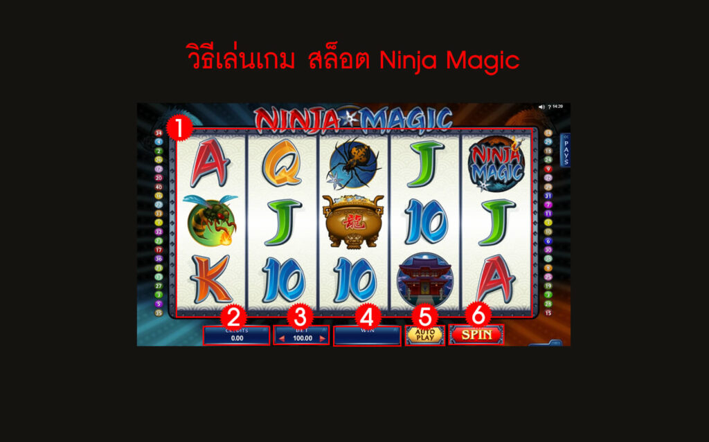 กฎกติกา วิธีเล่นสล็อต Ninja Magic Slot