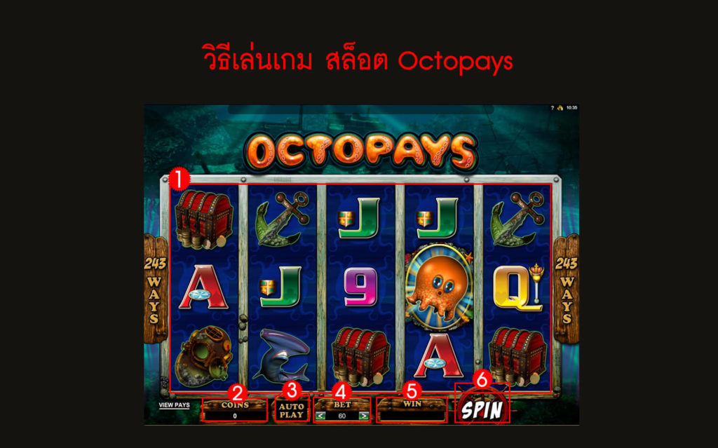 กฎกติกา วิธีเล่นสล็อต Octopays Slot 