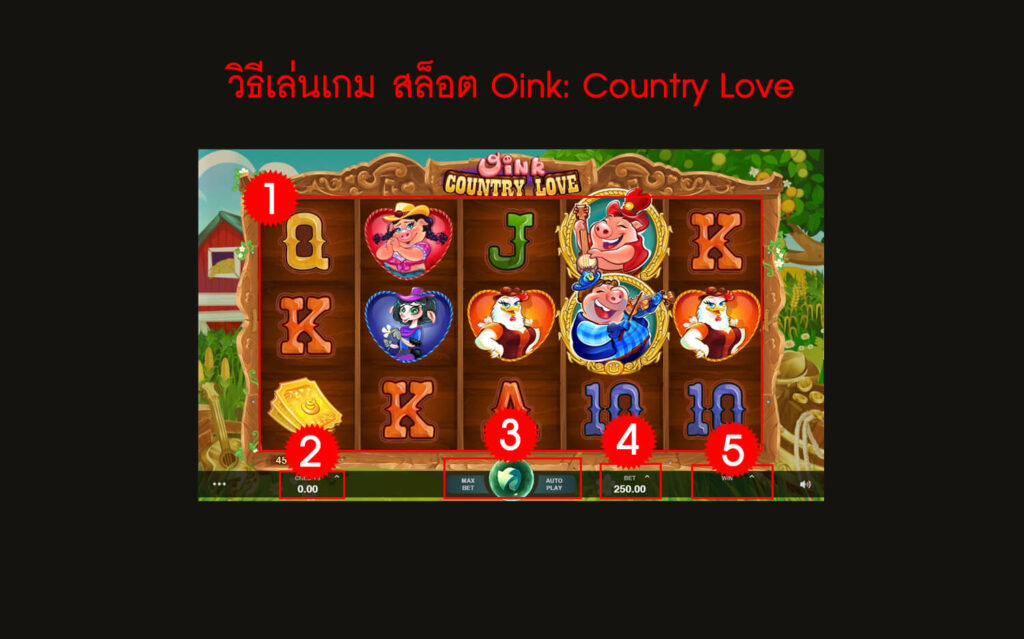 กฎกติกา วิธีเล่นสล็อต Oink: Country Love Slot