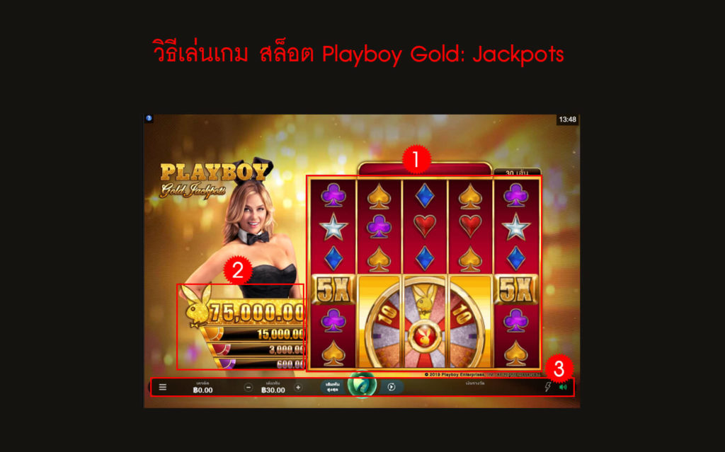 กฎกติกา วิธีเล่นเกม สล็อต Playboy Gold: Jackpots