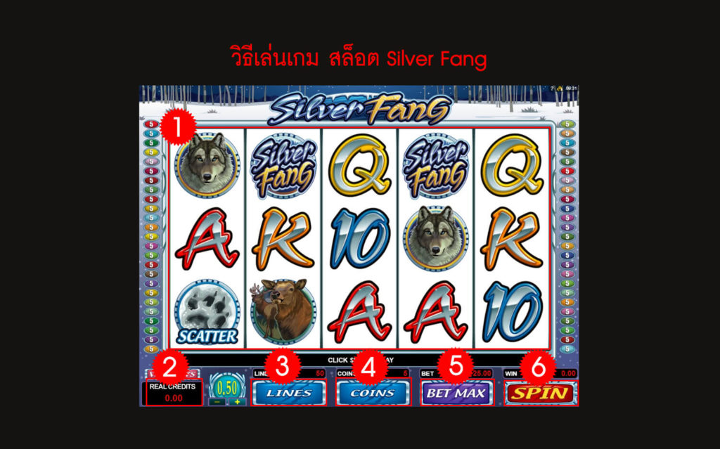กฎกติกา วิธีเล่นสล็อต Silver Fang Slot