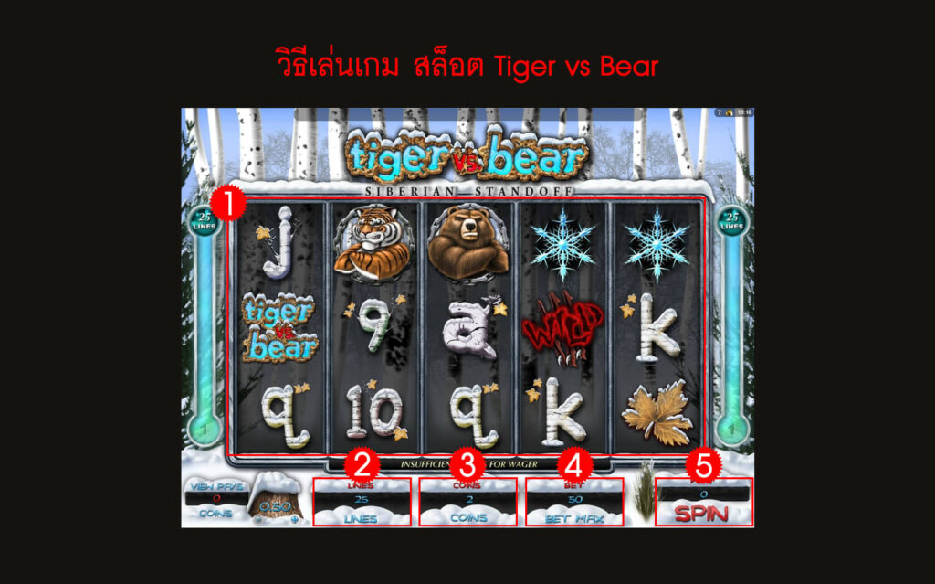 กฎกติกา วิธีเล่นสล็อต Golden Tiger vs Bear Slot