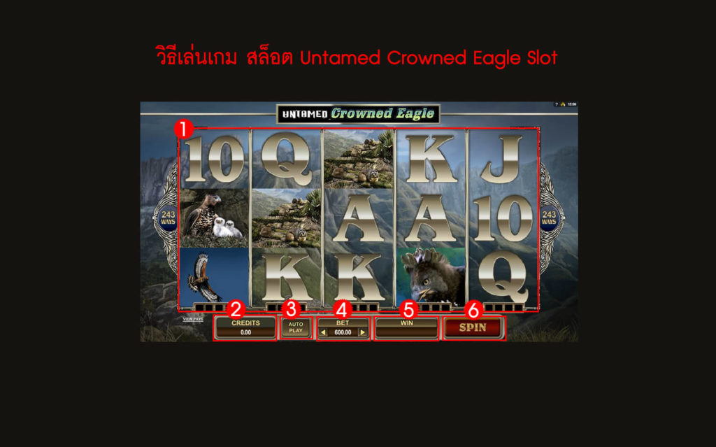 กฎกติกา วิธีเล่นสล็อต Untamed Crowned Eagle Slot