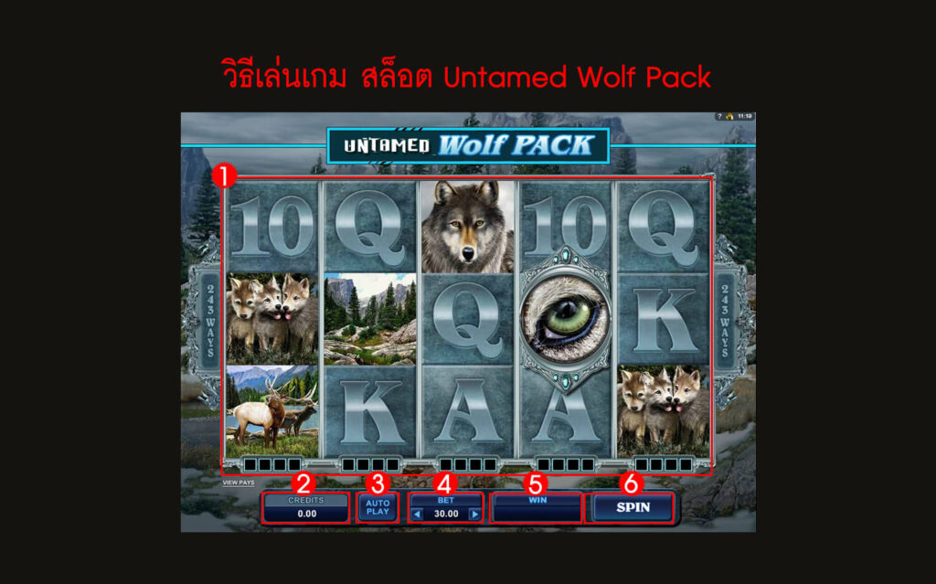 กฎกติกา วิธีเล่นสล็อต Untamed Wolf Pack Slot