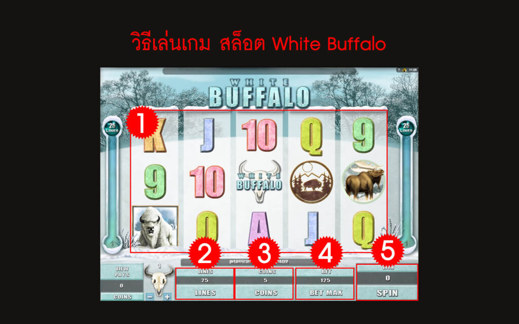 กฎกติกา วิธีเล่นสล็อต White Buffalo Slot 