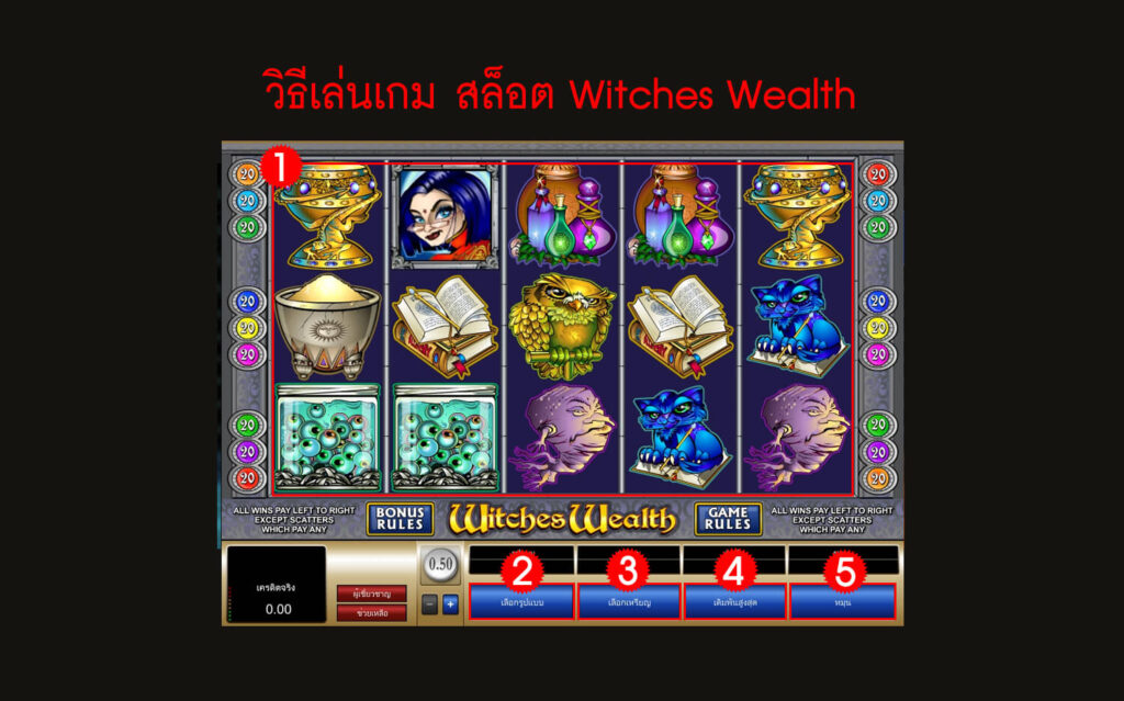 กฎกติกา เทคนิค วิธีเล่นสล็อต Witches Wealth Slot